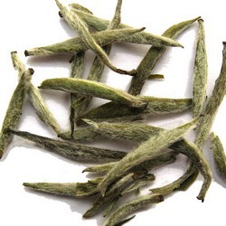 silver needle tea