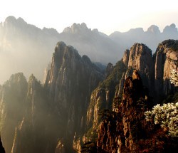 huangshan-maofeng