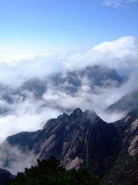 huangshan-maofeng