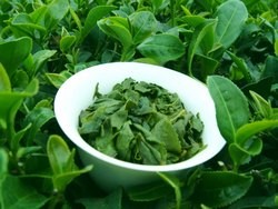 tieguanyin oolong tea