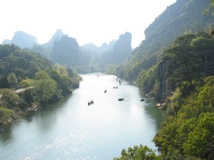 wuyi oolong tea